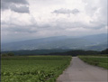 合宿風景1